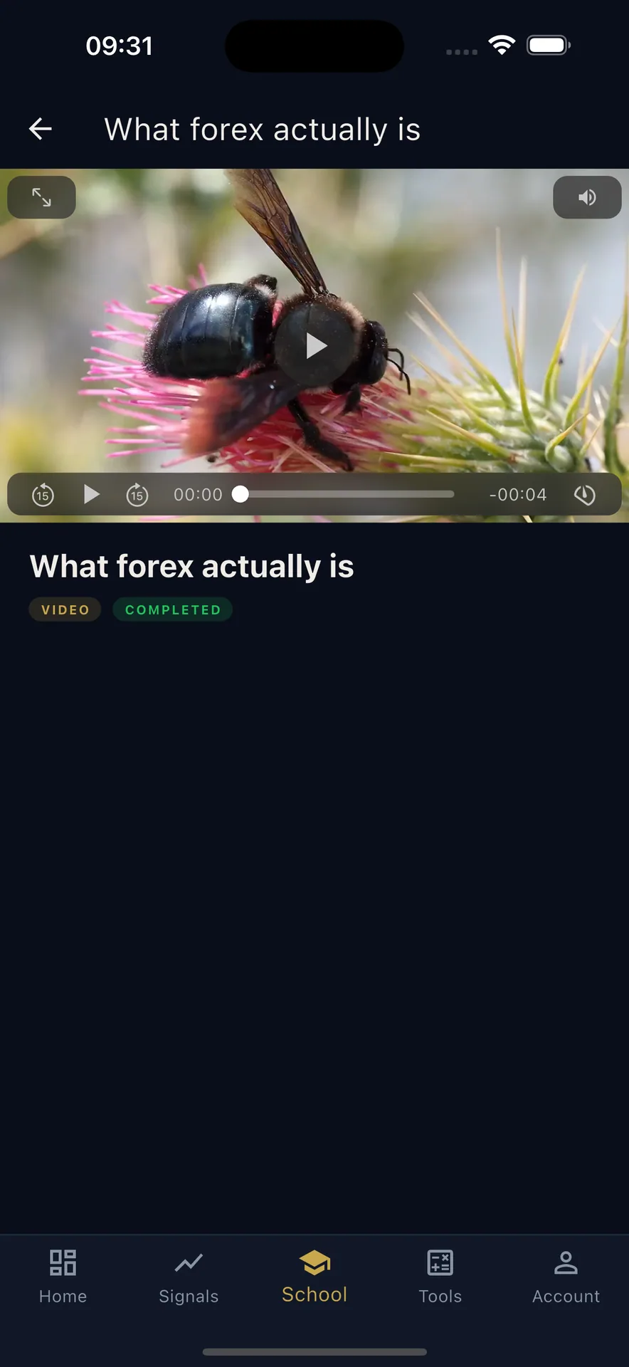 TradeLoft - White-Label Forex Trading Platform screenshot 11